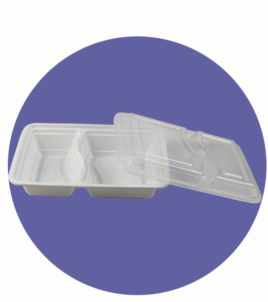 PLASTIC COMPARTMENT BOX