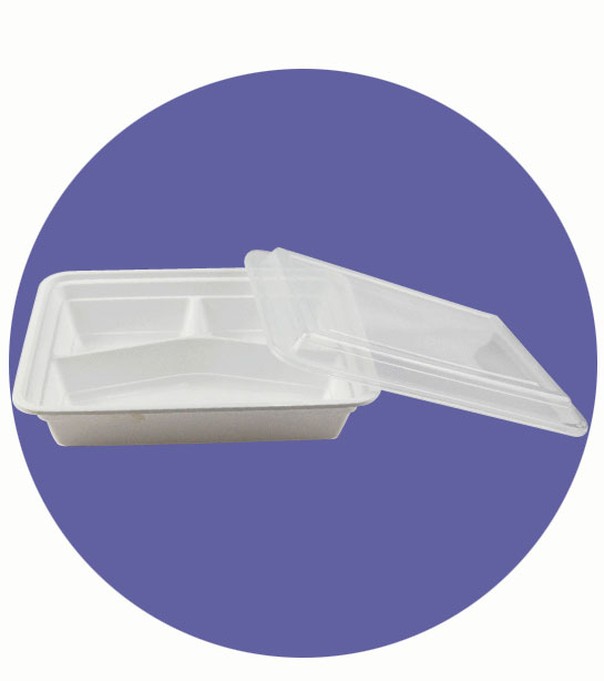 PLASTIC COMPARTMENT BOX