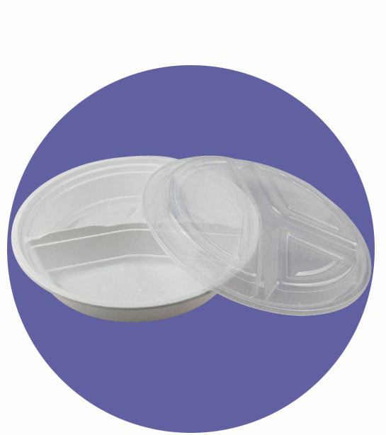 PLASTIC COMPARTMENT BOX