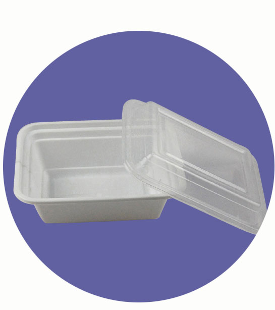 PLASTIC RECTANGULAR BOX