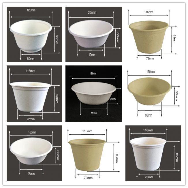 BIO-DEGRADABLE BAGASSE BOWL