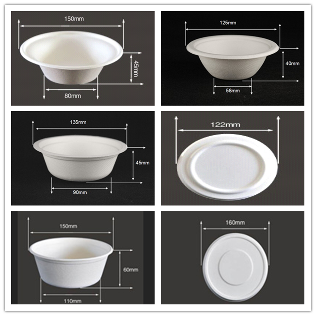 BIO-DEGRADABLE BAGASSE BOWL