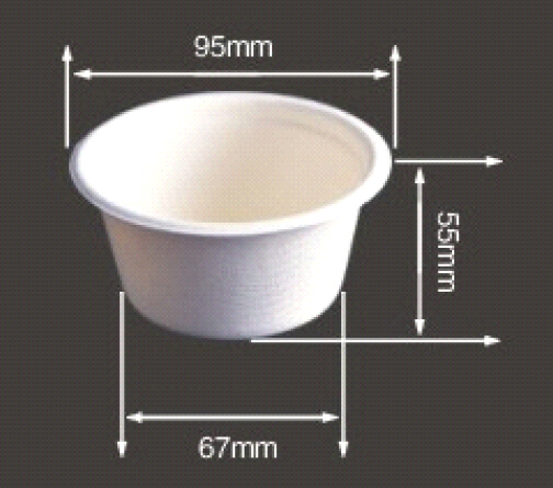 BIO-DEGRADABLE BAGASSE CUP