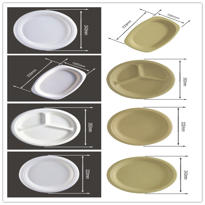 BIO-DEGRADABLE BAGASSE PLATE