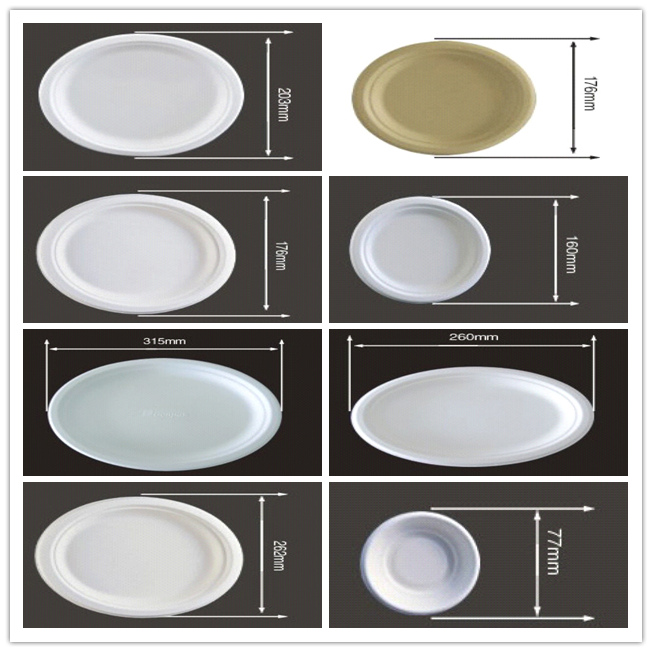 BIO-DEGRADABLE BAGASSE PLATE