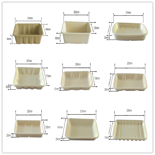 BIO-DEGRADABLE BAGASSE TRAY