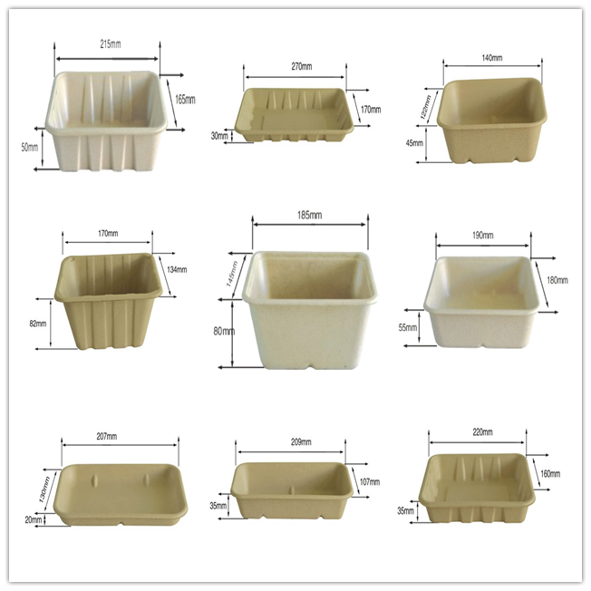 BIO-DEGRADABLE BAGASSE TRAY