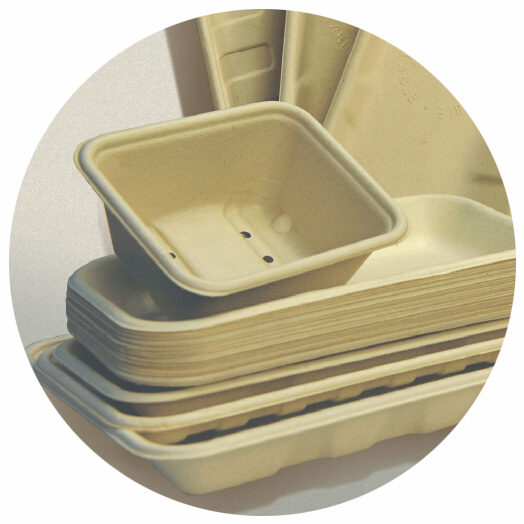 BIO-DEGRADABLE BAGASSE TRAY