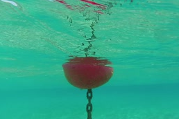 SURFACE BUOY